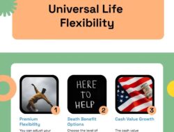 Insurance Premium Offers