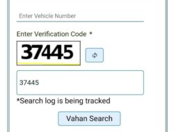 Insurance Status Check