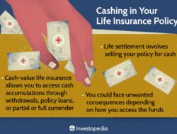 Insurance Upgrade Meaning