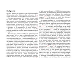 Technical Journal Articles