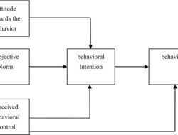 Technology Acceptance Model (davis 1989)