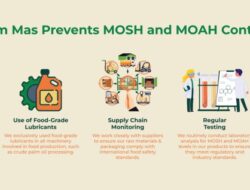 Technology Risk Management Guidelines Mas