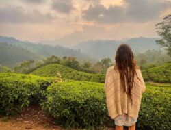 Tour Destinations In South India
