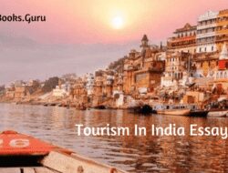 Tourist Attractions In India Essay