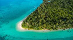 Tourist Destination And Food In Malaysia Essay