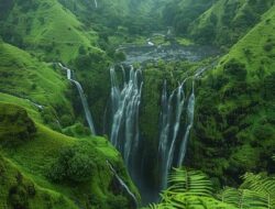 Tourist Places In India Nature