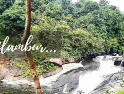 Tourist Places In Kerala For One Day Trip With Family