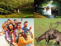 Tourist Places In Kerala Park