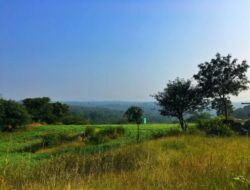 Tourist Places Near Bangalore Within 300 Kms