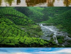 Tourist Season In Kerala
