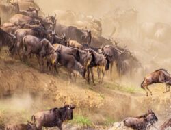 Tourist Spots In East Africa
