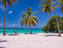 Unique Holiday Destinations In South Africa