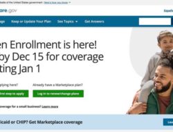 What Is Insurance Marketplace
