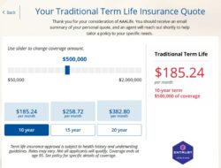 Average Term Life Insurance Cost By Age