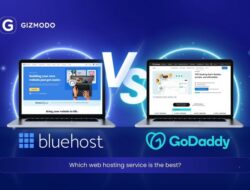 Best Bluehost Review