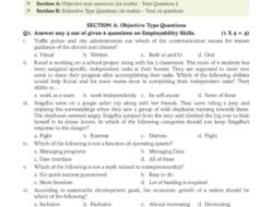 Class 10 Information Technology Sample Paper