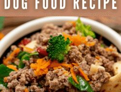 Easy Healthy Homemade Dog Food Recipes
