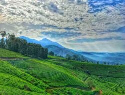 Top Tourist Places In Kerala