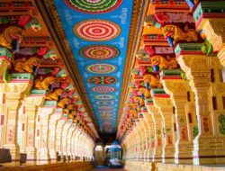 Tourist Attractions In India For Kids